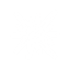 Archeum Studios
